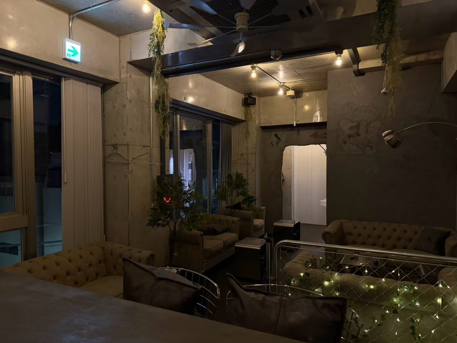 窓際のソファ席と、植物や暖色照明のある店内